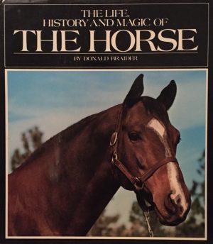 The Life, History and Magic of the Horse - Braider