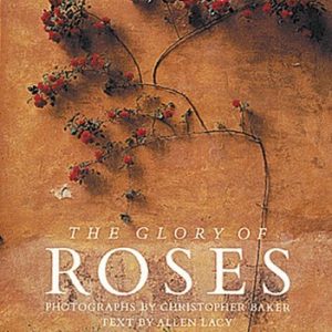 The Glory of Roses - Baker and Lacy