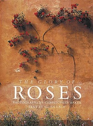 The Glory of Roses - Baker and Lacy