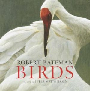 Birds - Bateman