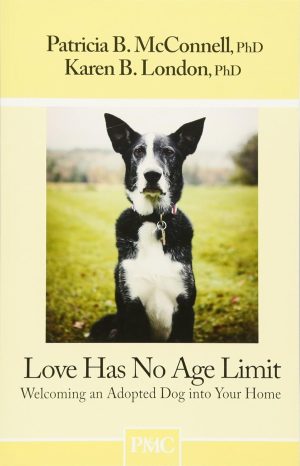 Love Has No Age Limit: Welcoming an Adopted Dog into Your Home - McConnell and London
