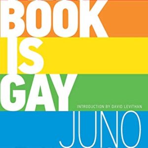 This Book Is Gay - Dawson