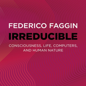 Irreducible- Faggin
