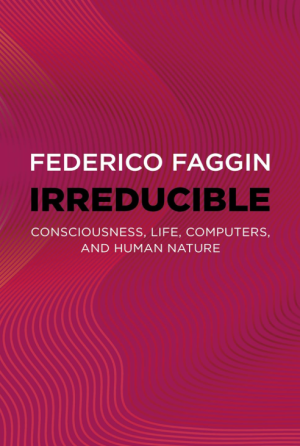 Irreducible- Faggin