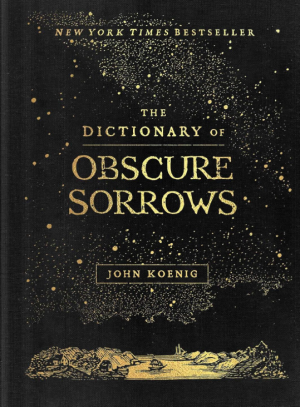 Dictionary Of Obscure Sorrows - Koenig