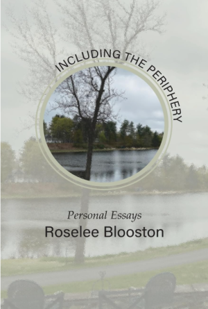 Including The Periphery: Personal Essays - Blooston