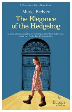The Elegance of the Hedgehog - Barbery