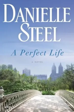 A Perfect Life - Steel